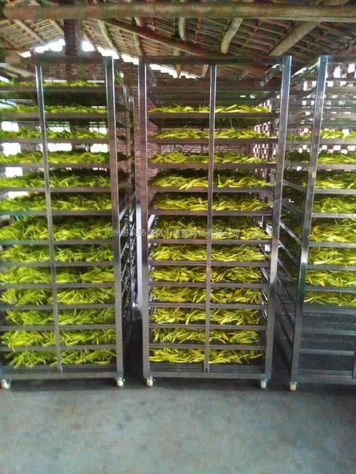黃花菜烘干機(jī)、黃花菜烘干設(shè)備、黃花菜干燥機(jī)、黃花菜干燥設(shè)備、